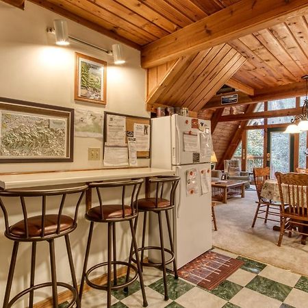 Mountain Springs Chalet 蓋特林堡 外观 照片