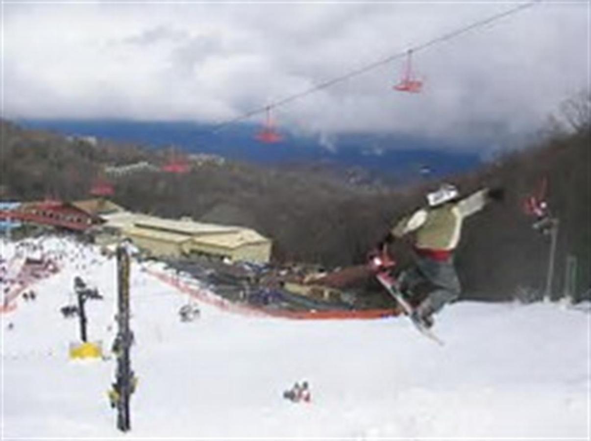 Mountain Springs Chalet 蓋特林堡 外观 照片