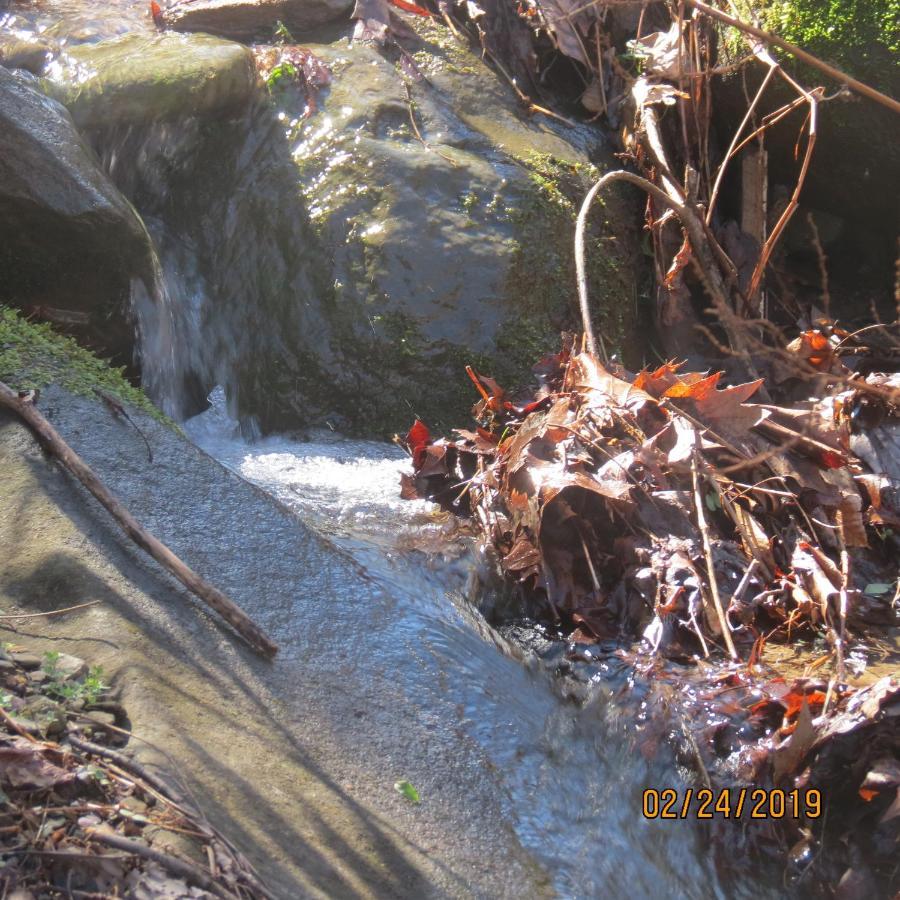 Mountain Springs Chalet 蓋特林堡 外观 照片