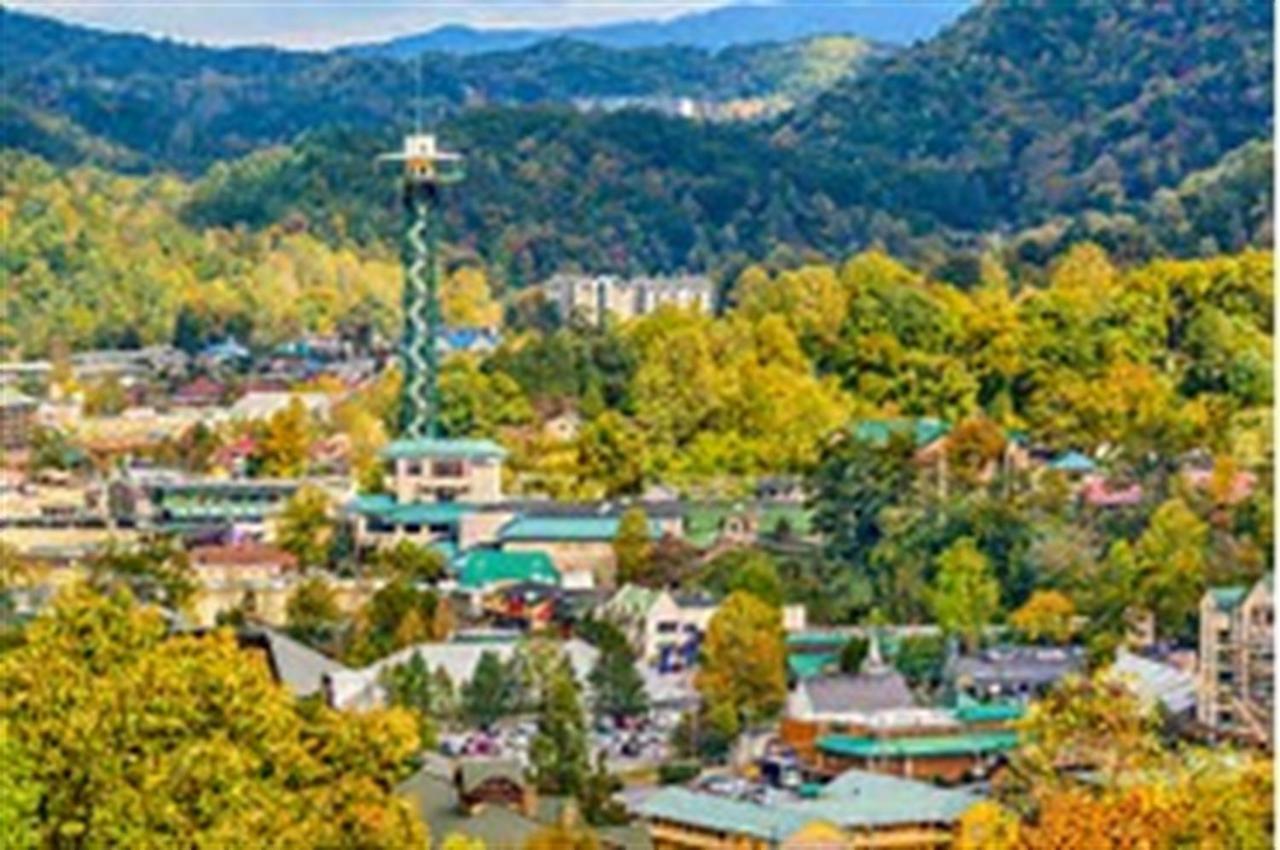 Mountain Springs Chalet 蓋特林堡 外观 照片