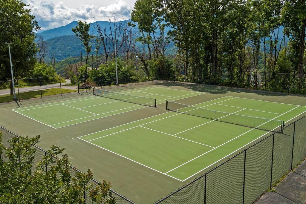 Mountain Springs Chalet 蓋特林堡 外观 照片
